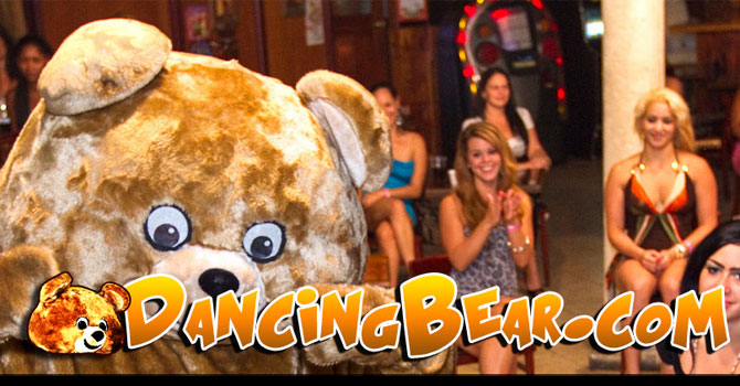 Dancingbear special delivery - 🧡 ▷ Amateurs in The Dancing Bear makes thos...